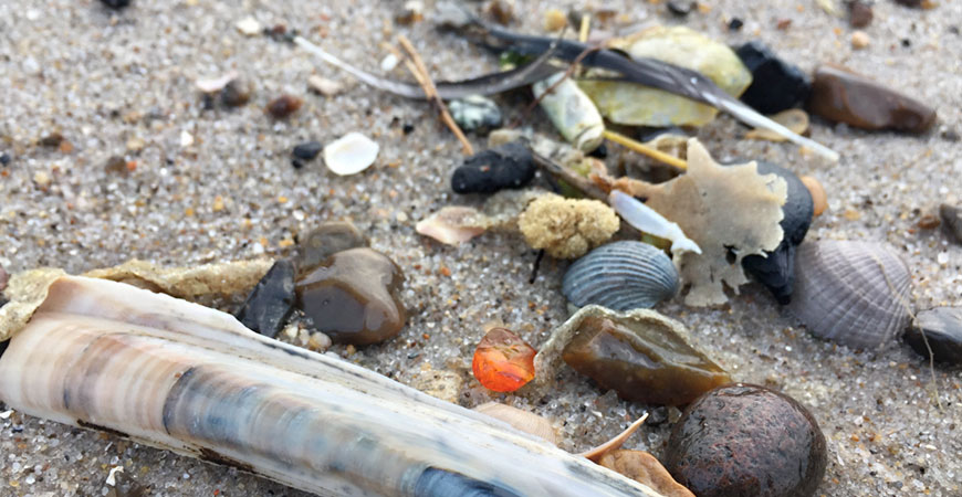 Strand mit mit Bernstein